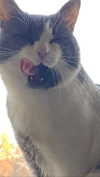 3xiiicom Altpins Profile Picture