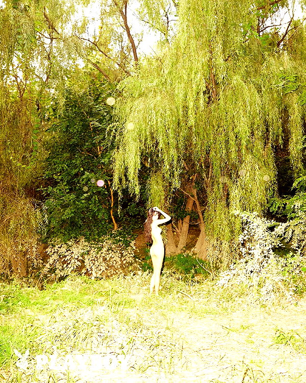 bora__look archive image