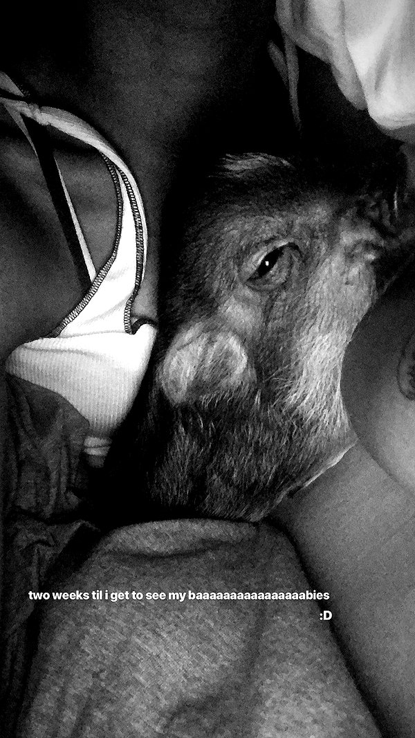arianagrande instagram image archive image