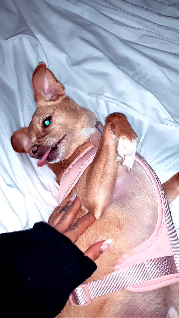 arianagrande instagram image archive image