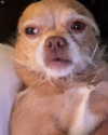 georgialeetwinn Altpins Profile Picture