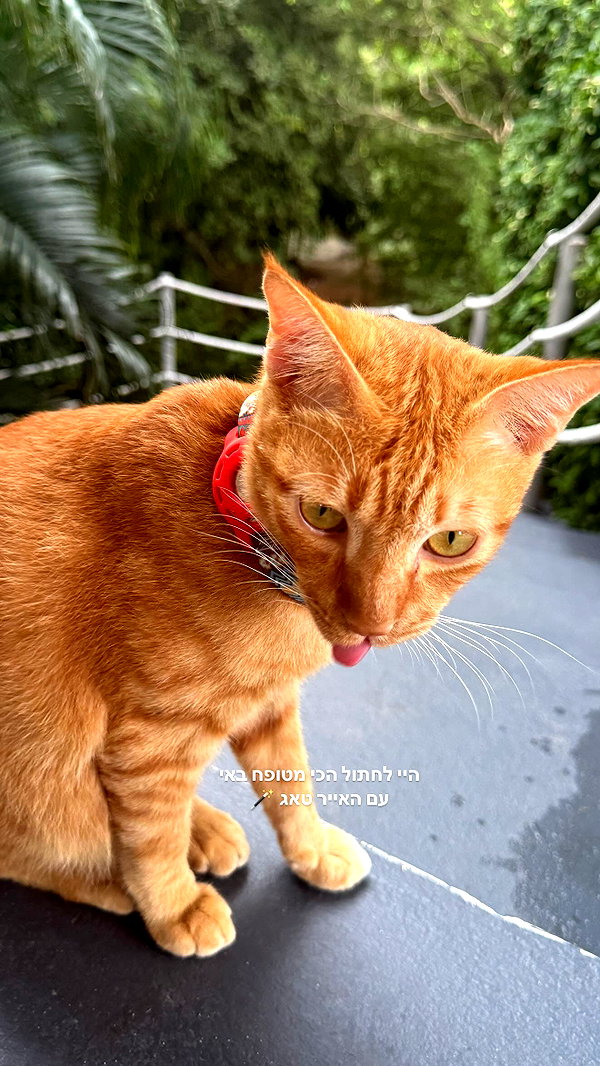 maya.keyy instagram image archive image