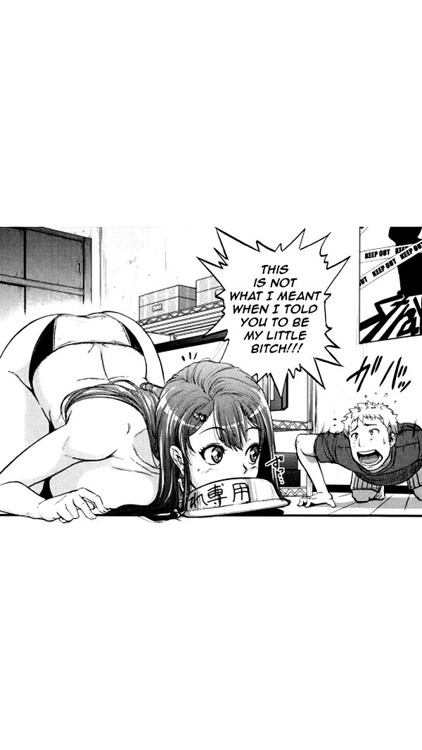 bunnyhazed archive image
