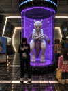 9unxx7 Altpins Profile Picture