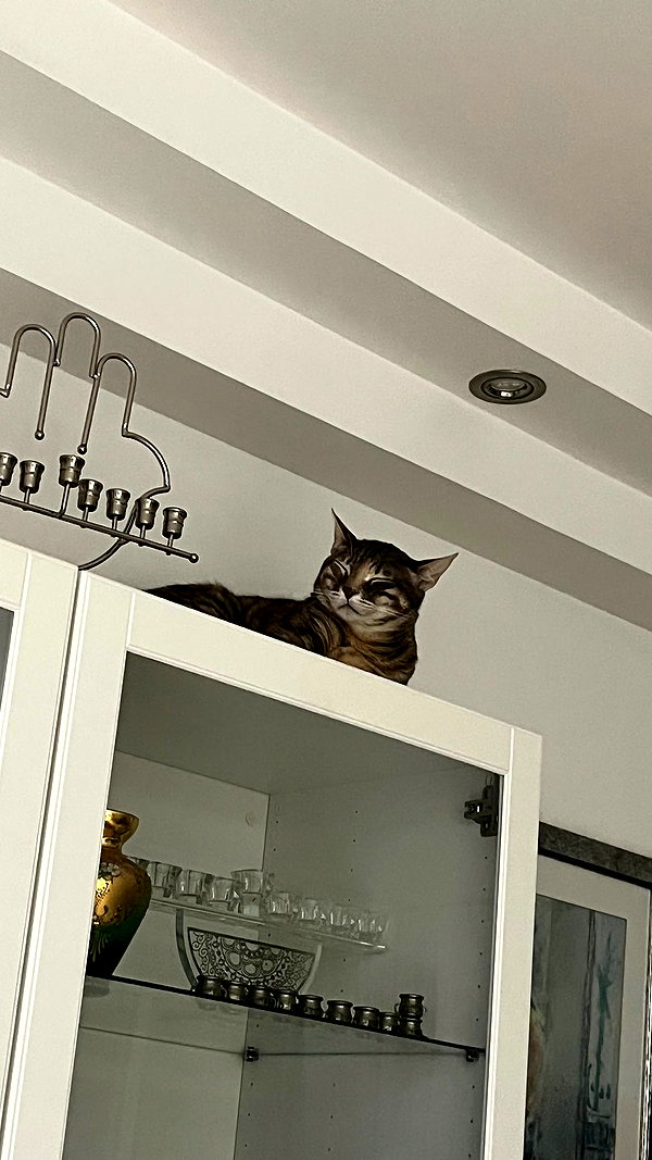 Archived image from @notchicore on Instagram