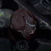 ayash.hila Altpins Profile Picture