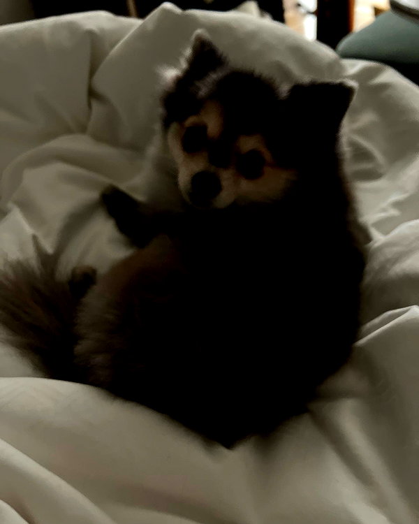 sssniperwolf instagram image archive image