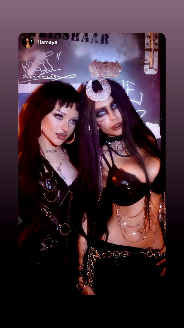 amberxswain amberxswain archive image