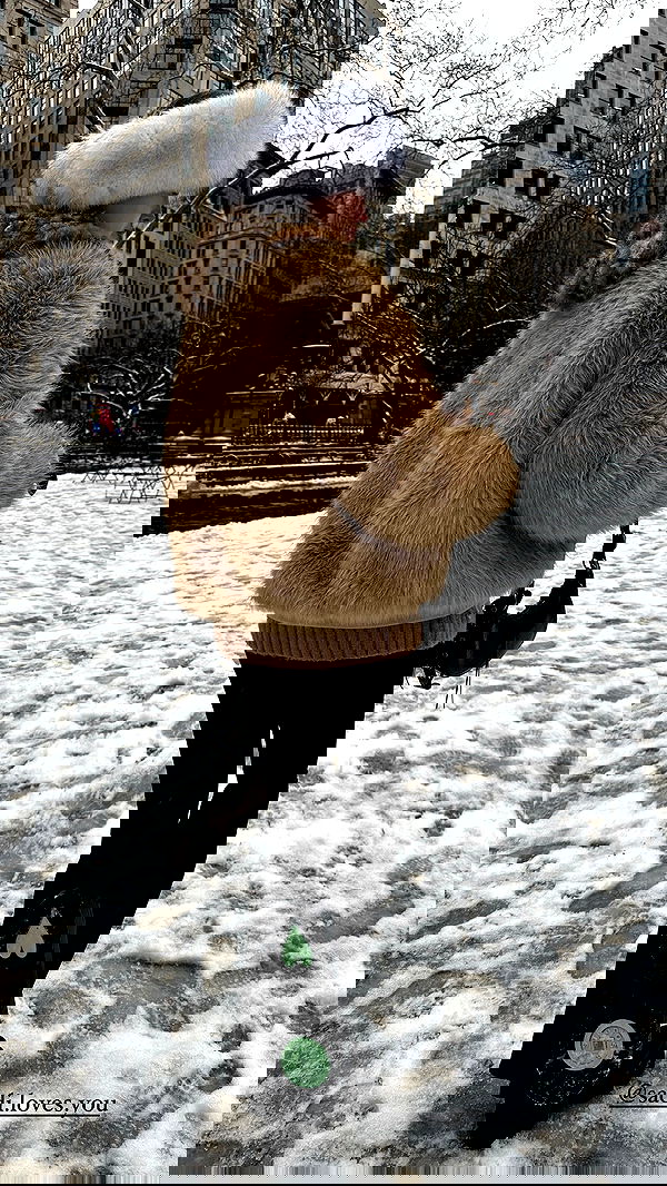 taylor.creeden taylor.creeden archive image