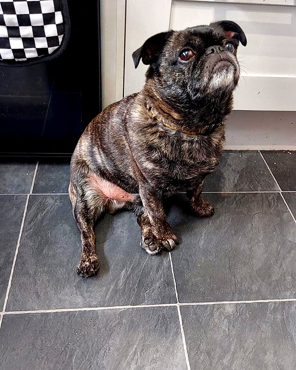 charley.chambers instagram image archive image