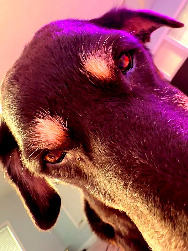 lola.luvgood instagram image archive image