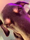 lola.luvgood Altpins Profile Picture