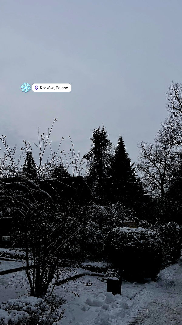 evasidikkk instagram image archive image