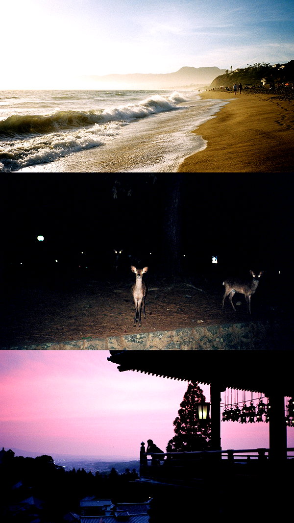 renatarrii instagram image archive image