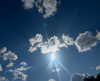marlene_808 Altpins Profile Picture