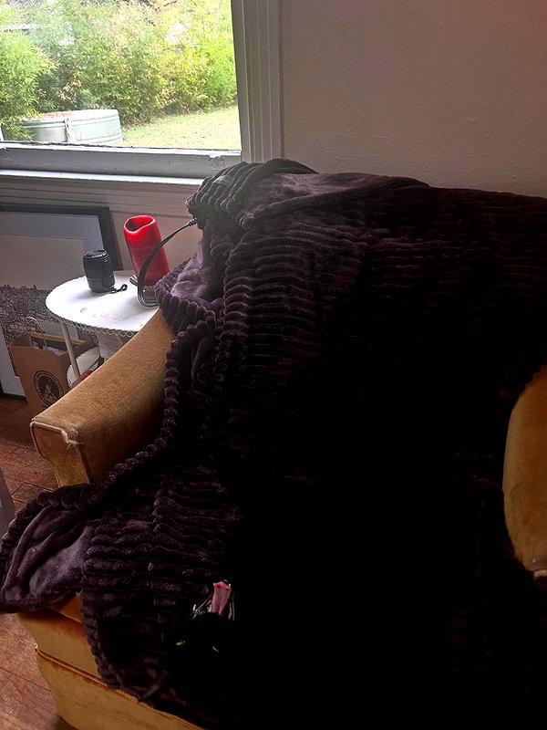 lizardbabychloe instagram image archive image