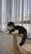 sonia_litvanchuk Altpins Profile Picture