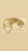 nomagdalina Altpins Profile Picture