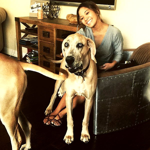 sashapieterse instagram image archive image