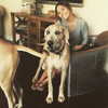 sashapieterse Altpins Profile Picture