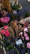 dekota_thompson Altpins Profile Picture