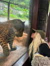 xtina Altpins Profile Picture