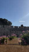 libby_reut Altpins Profile Picture