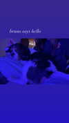 racksonrays Altpins Profile Picture