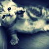 rachelchaleff Altpins Profile Picture