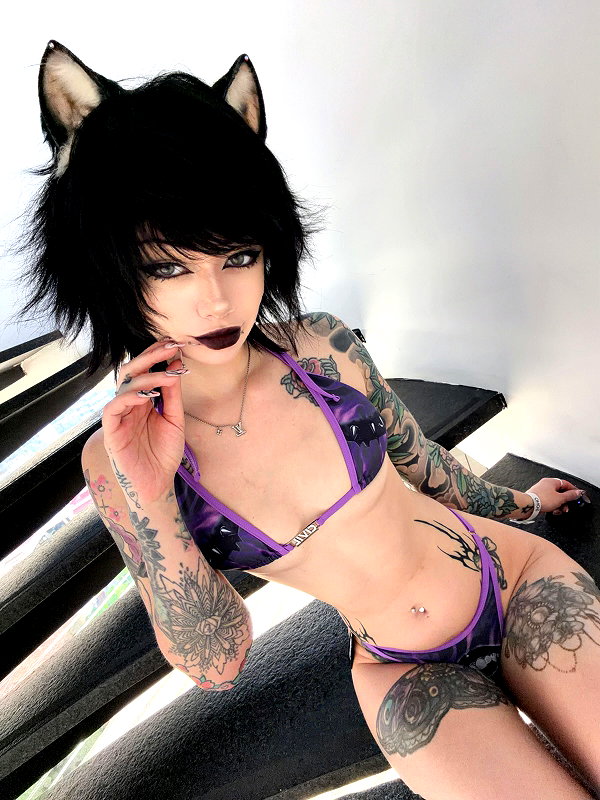 virtualkali instagram image archive image
