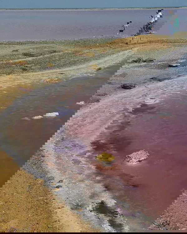 kkulakovaa image ~ Altpins