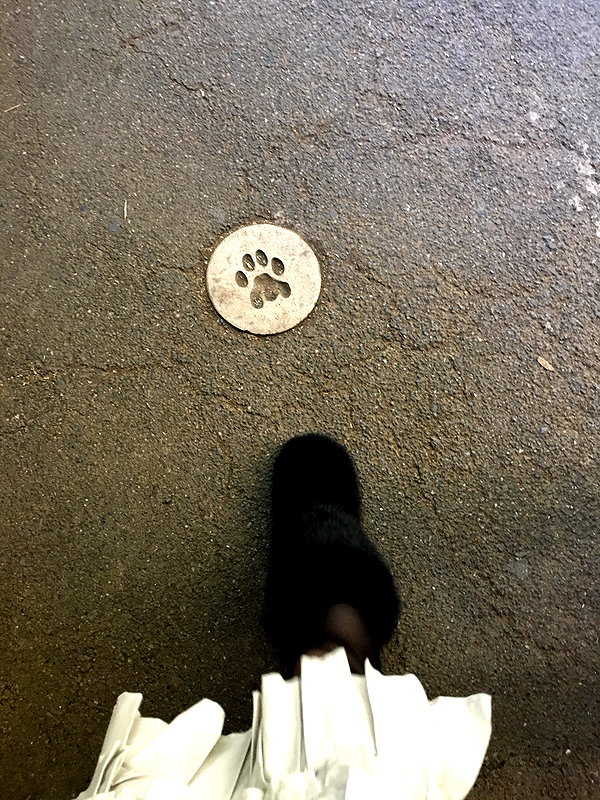pskyng instagram image archive image
