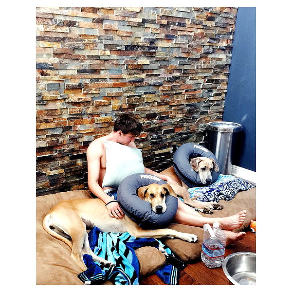 sashapieterse instagram image archive image