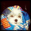 ashleybenson Altpins Profile Picture