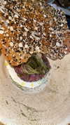 sonia_litvanchuk Altpins Profile Picture