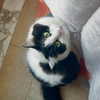 nishymoon_ Altpins Profile Picture