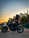 shanidahan7 Altpins Profile Picture