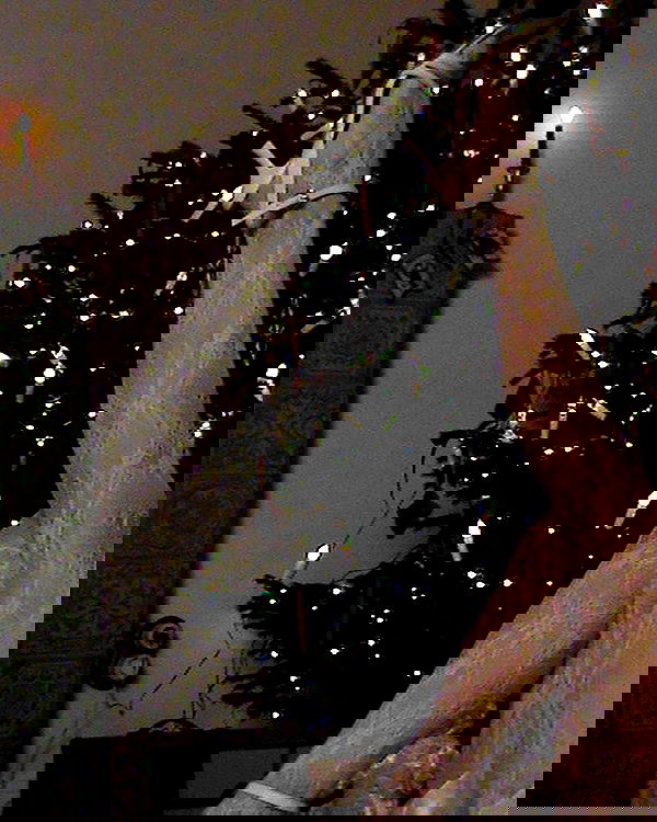 kkulakovaa image ~ Altpins