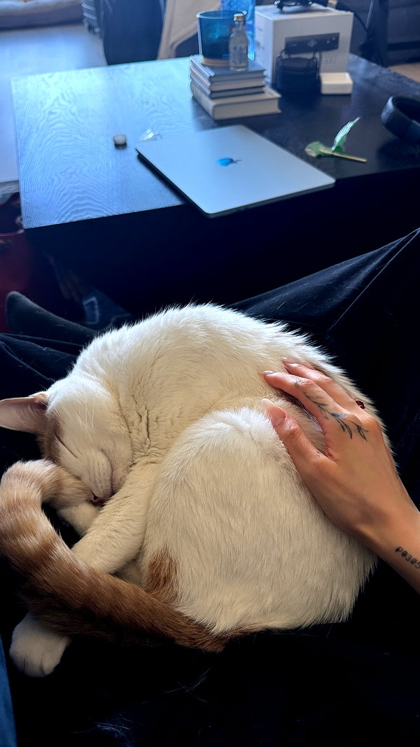 Archived image from @allissashin on Instagram