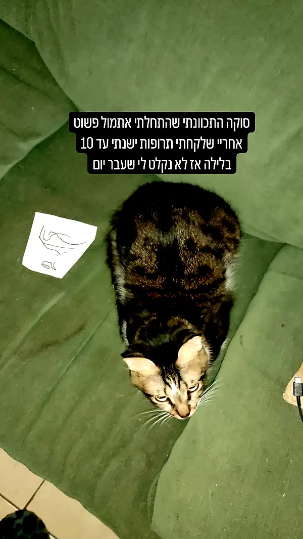 moonyyyya moonyyyya archive image