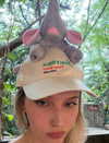 whylollycry Altpins Profile Picture