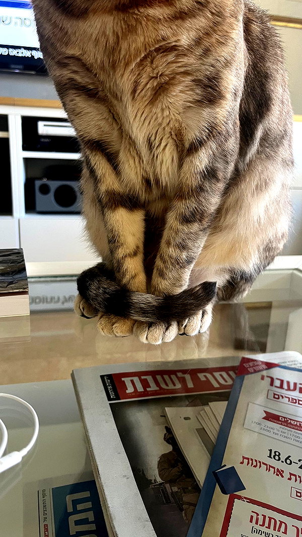 Archived image from @notchicore on Instagram