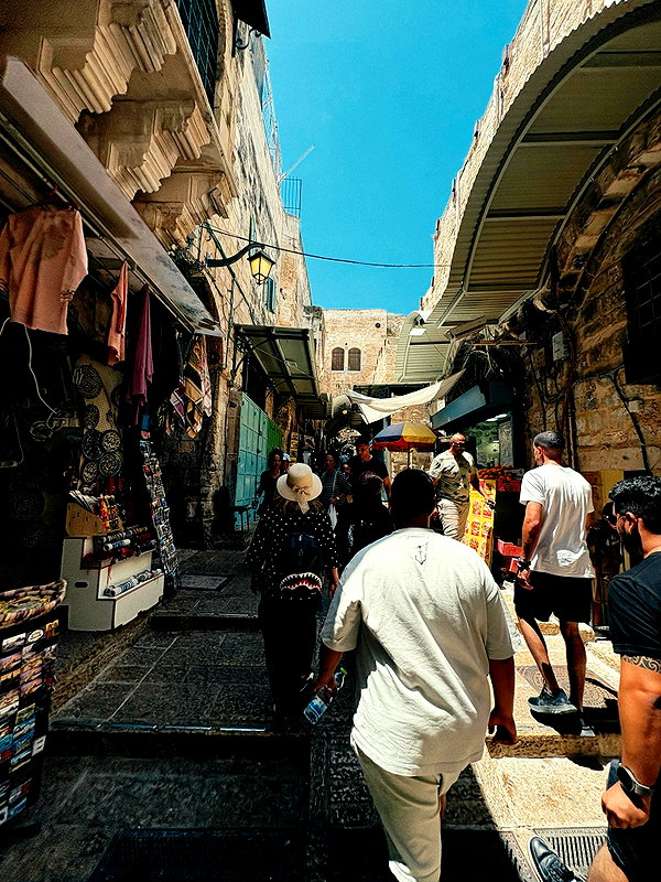 rei.sigalov instagram image archive image