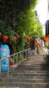 biton__adi Altpins Profile Picture