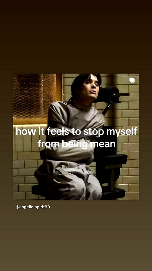 moodmaxi archive image