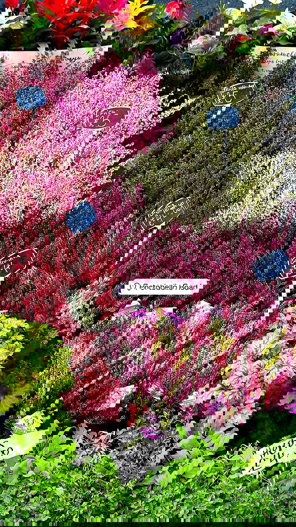 taylor.creeden taylor.creeden archive image