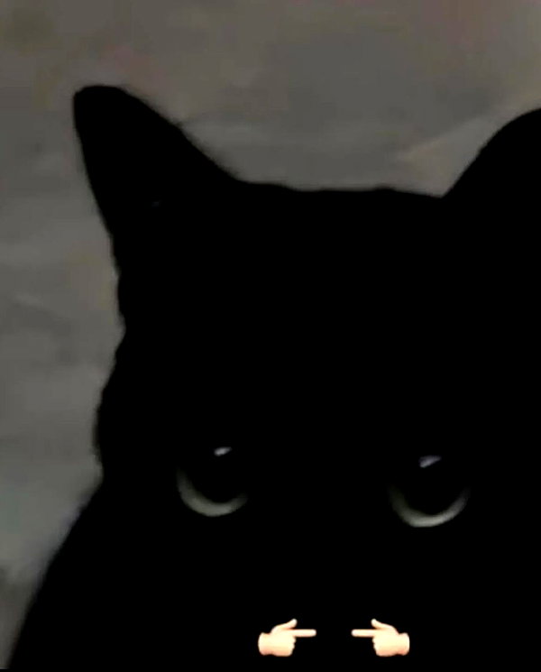 firedancer121 instagram image archive image