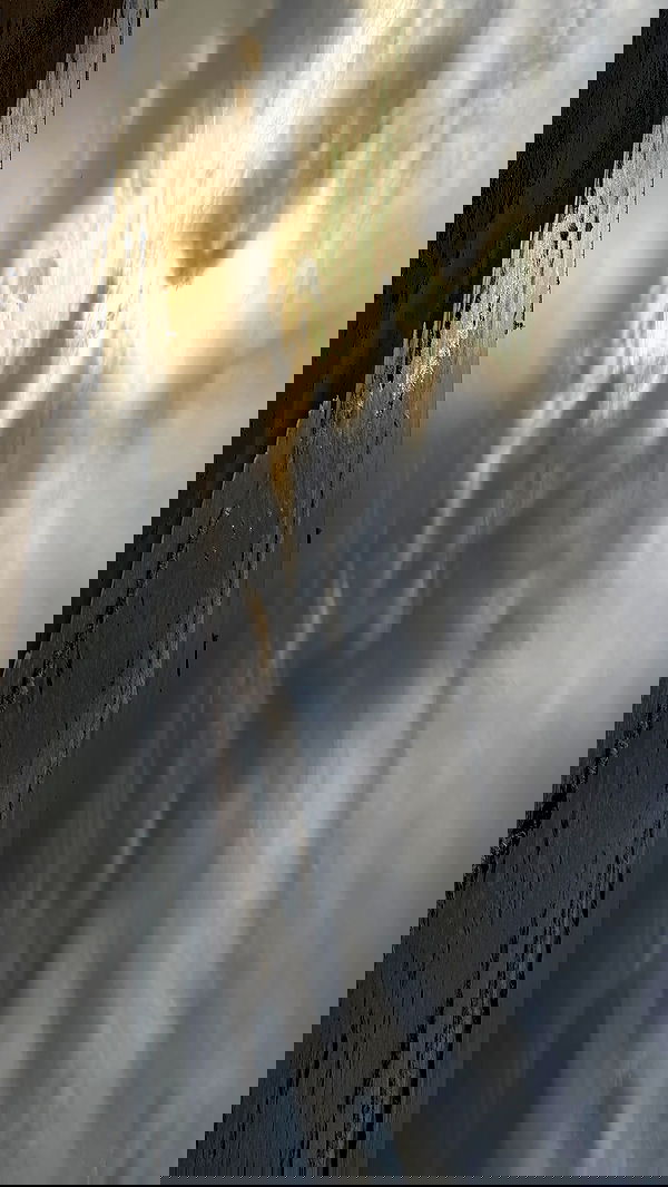 efrat_elmalich efrat_elmalich archive image