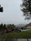 solzarubin_ Altpins Profile Picture
