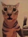 milkiwifey Altpins Profile Picture